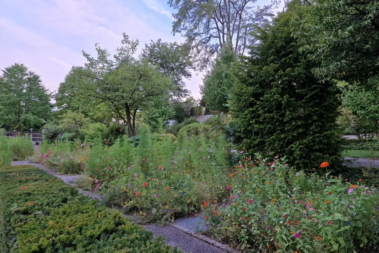 20220807_203220_vorschau