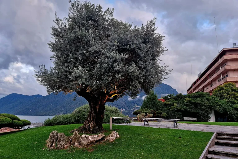 20250922_192436_vorschau1