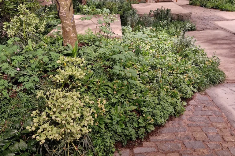 20260310_102137_vorschau