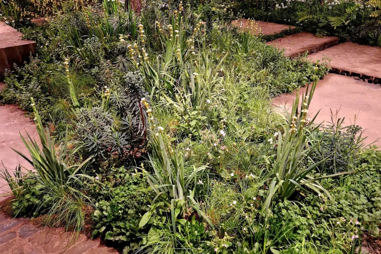 20260310_102155_vorschau